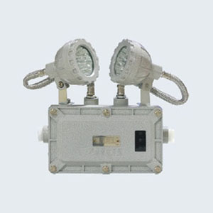 JYW-ZFZD-E6W-BXW6229係列消防應急照明燈具